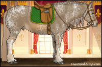 Horse Color:Chocolate Palomino Ice 