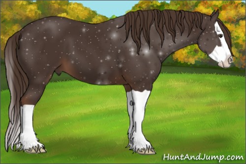 Horse Color:Liver Chestnut Splash 