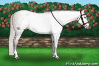 Horse Color:Gray Silver Black Pearl Tobiano 