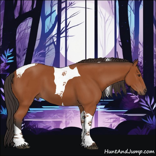 Horse Color:Bay Tobiano 