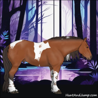 Horse Color:Bay Tobiano 
