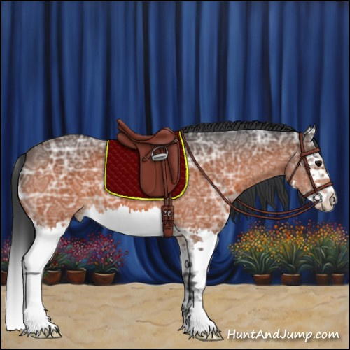 Horse Color:Bay Ice Splash 