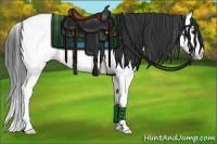 Horse Color:Blue Roan Splash Appaloosa Rabicano