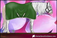 Horse Color:Chestnut Appaloosa Rabicano 