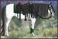 Horse Color:White Spotted Black Appaloosa Rabicano 