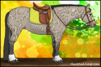 Horse Color:Bay Ice Dun Sabino Rabicano 