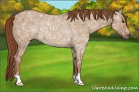 Horse Color:Red Dun Ice 