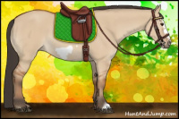 Horse Color:Bay Dun Frame 
