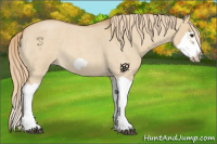 Horse Color:Red Dun Roan Splash Frame Rabicano 