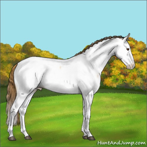 Horse Color:Buckskin Dun Splash Near Fewspot 