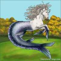 Horse Color:Smoky Creme Roan Dun 