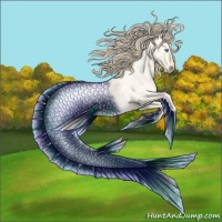 Horse Color:Perlino Roan Dun
