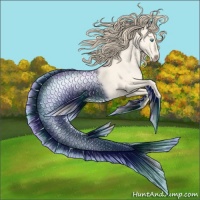 Horse Color:Perlino Roan Dun