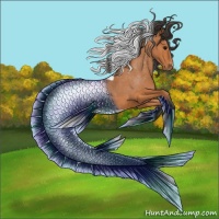 Horse Color:Bay Tobiano Appaloosa 