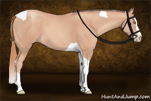 Horse Color:Gold Champagne Splash Tobiano 
