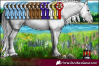Horse Color:Brown Dun Mushroom Sabino
