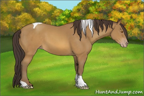 Horse Color:Sable Cream Champagne Tobiano 