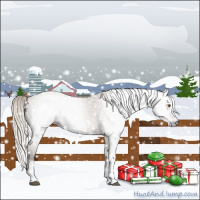 Horse Color:Gray Silver Black Pearl Tobiano 