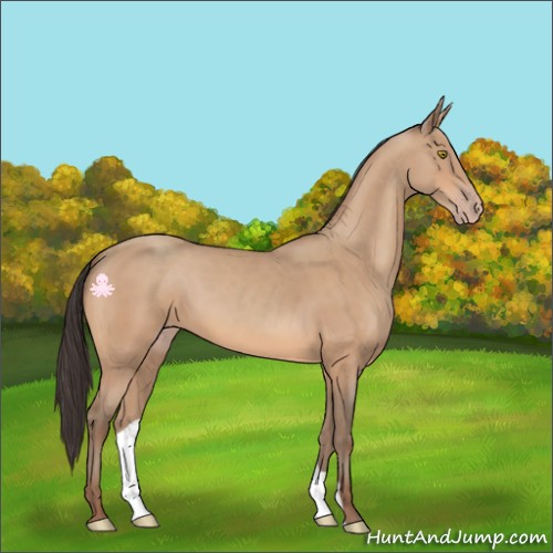 Horse Color:Amber Champagne
