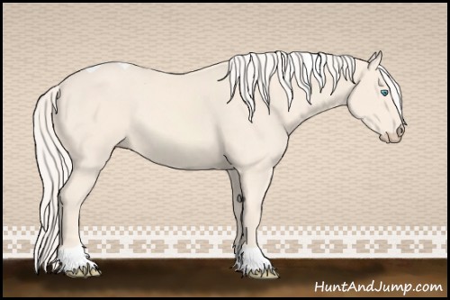 Horse Color:Cremello Tobiano