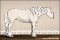 Horse Color:Cremello Tobiano