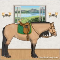 Horse Color:Bay Dun Splash 