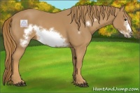 Horse Color:Chestnut Frame 