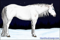 Horse Color:White Spotted Bay Frame Snowcap Rabicano  and Gray White Spotted Bay Frame Snowcap Rabicano 