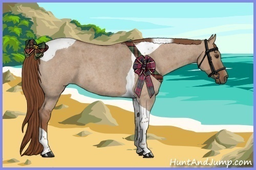 Horse Color:Red Dun Roan Tobiano 