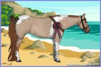 Horse Color:Red Dun Roan Tobiano