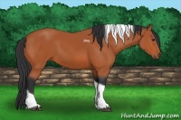 Horse Color:Bay Tobiano 