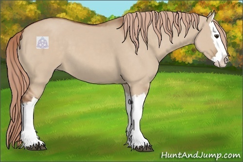 Horse Color:Red Dun Splash 