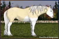 Horse Color:Silver Sable Cream Champagne Dun Splash 