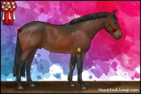 Horse Color:Brown 