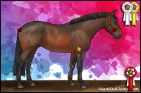 Horse Color:Brown 