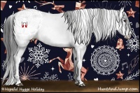 Horse Color:White Spotted Bay Frame Appaloosa Rabicano and White Spotted Bay Frame Appaloosa Rabicano
