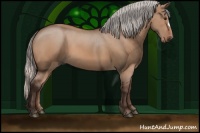 Horse Color:Silver Bay Dun