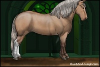 Horse Color:Silver Bay Dun 