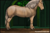 Horse Color:Red Roan 