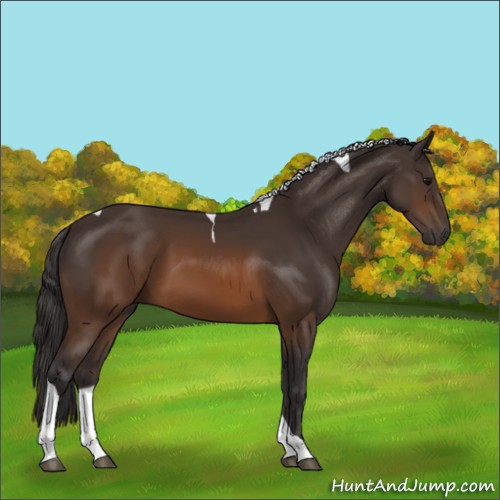 Horse Color:Buckskin Tobiano