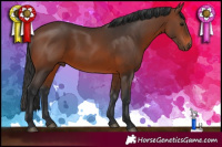 Horse Color:Brown 