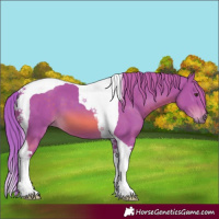 Horse Color:Watercolor Chestnut Tobiano 