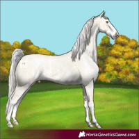 Horse Color:Silver Classic Cream Champagne Dun Sabino 