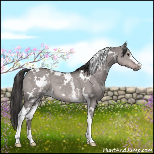 Horse Color:Platinum White Spotted Liver Red Dun 