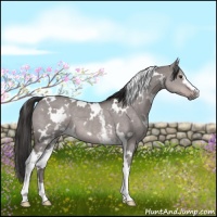 Horse Color:Platinum White Spotted Liver Red Dun