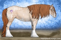 Horse Color:Buckskin Ice Pearl Sabino 