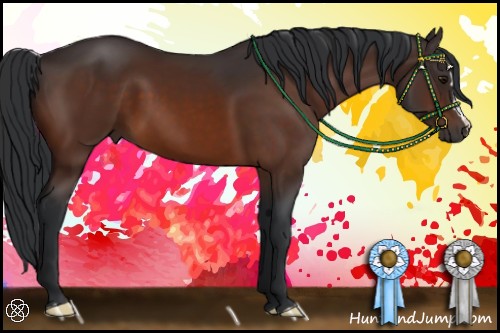 Horse Color:Brown 