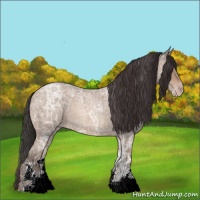 Horse Color:Sable Champagne Ice Roan