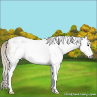 Horse Color:Gray Silver Brown Ice Dun Tobiano Frame
