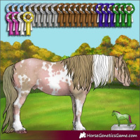 Horse Color:Watercolor White Spotted Gold Champagne